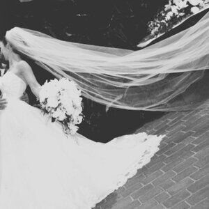 Size 8 Maggie Sottero Isadora Marie wedding dress with custom cathedral veil